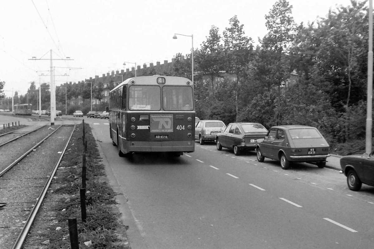 404 DAF Hainje 08a